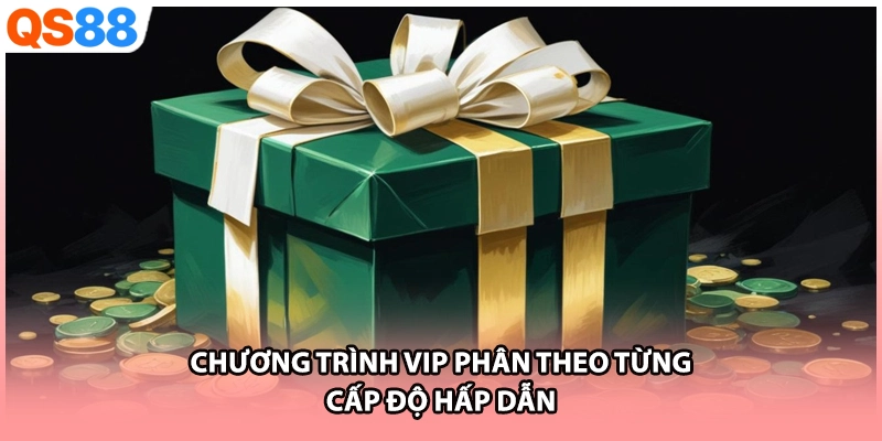 Chương trình VIP phân theo từng cấp độ hấp dẫn